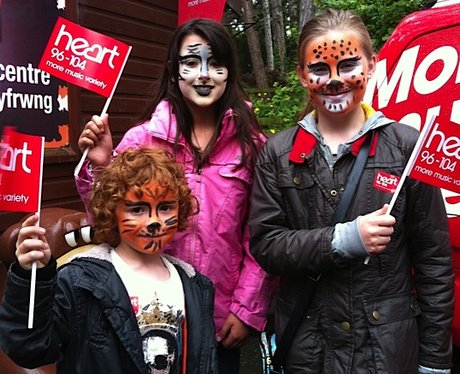 Love Your Zoo: Really Mountain Zoo