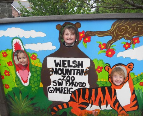 Love Your Zoo: Really Mountain Zoo