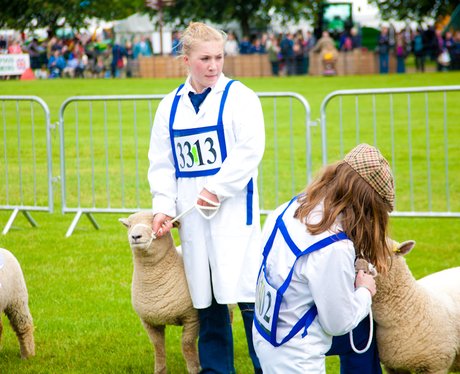SuffolkShow Day 1