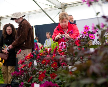 SuffolkShow Day 1
