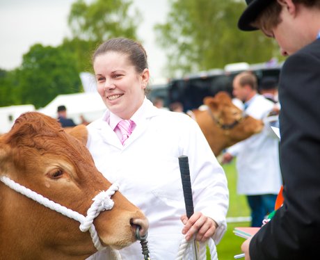 SuffolkShow Day 1