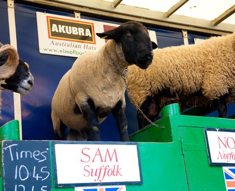 SuffolkShow Day 1