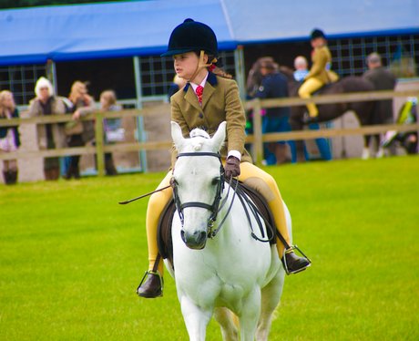 SuffolkShow Day 1
