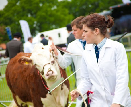 SuffolkShow Day 1