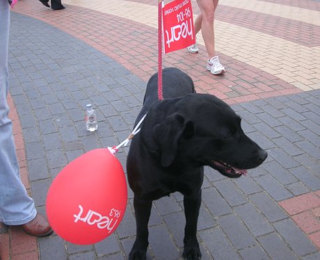Race For Life: Rhyl - Best Dressed