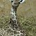 Image 3: Baby giraffe at Noah's Ark Zoo Farm