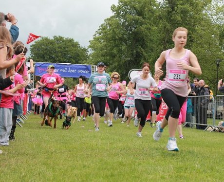 race for life gloucester park