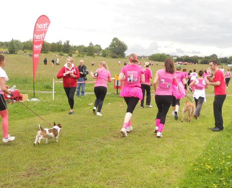 Race For Life: Wrexham - Album 2