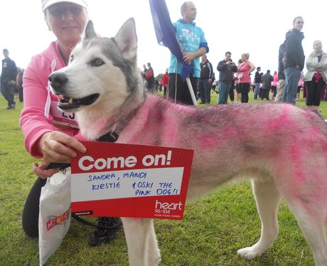 Race For Life: Wrexham - Best Dressed