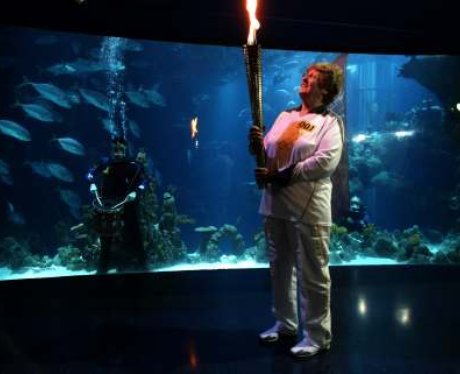 olympic torch