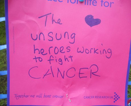 Race For Life Chester: Your Messages