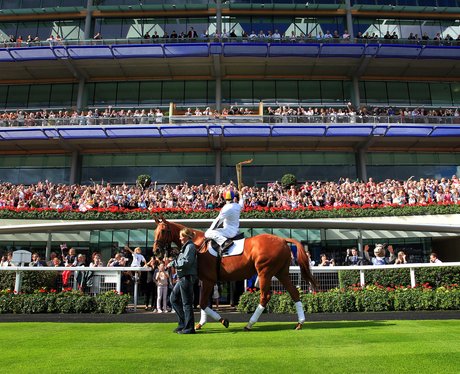 Olympic Torch in Ascot and Bracknell