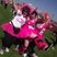 Image 3: Portsmouth Race For Life