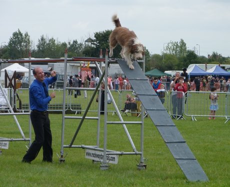 Orsett Show