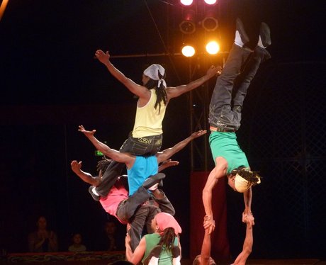 Zippo Circus