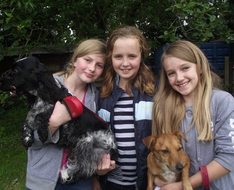 Heart at Bath Cats & Dog's Home