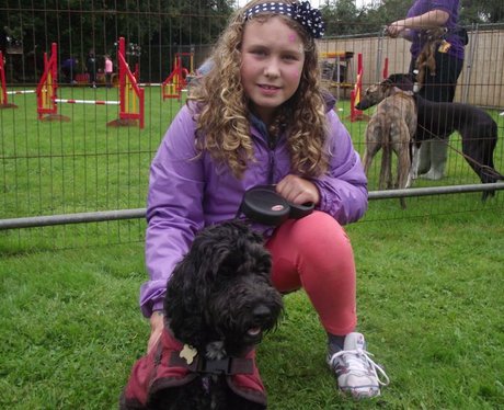 Heart at Bath Cats & Dog's Home