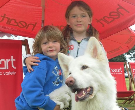 Heart at Bath Cats & Dog's Home