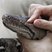 Image 1: chester zoo snake health check