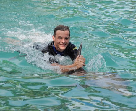 Louis Tomlinson swims with dolphins