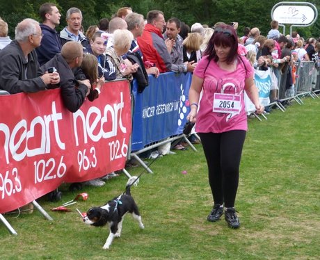 Race for Life