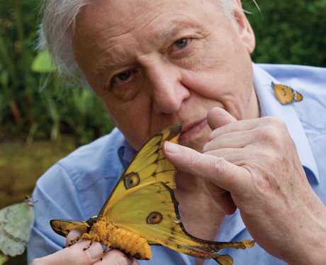 Sir David Attenborough