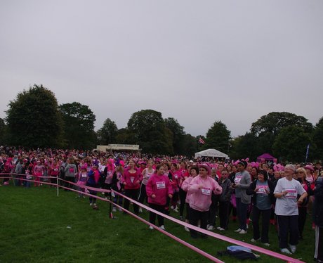 Race For Life Himley 10:30am - 1