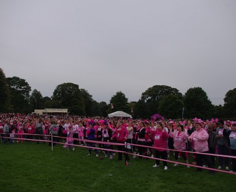 Race For Life Himley 10:30am - 1