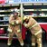 Image 5: Tom & Jack pose as firemen