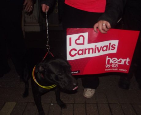 Taunton Carnival