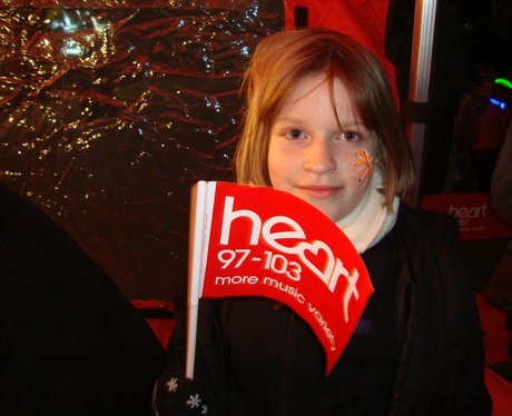 Newbury Fireworks 2012