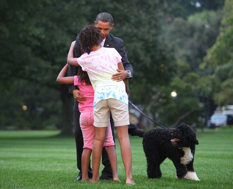Bo Obama