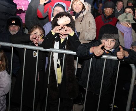 Bridgwater Carnival