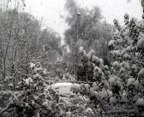 Wiltshire snow