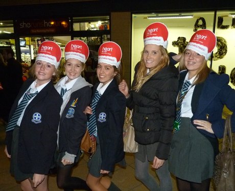 Harlow Christmas Lights