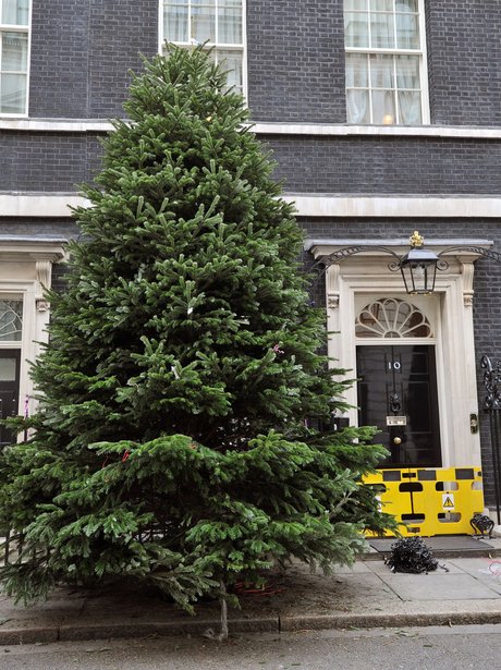 christmas decorations in Downing Street 2012