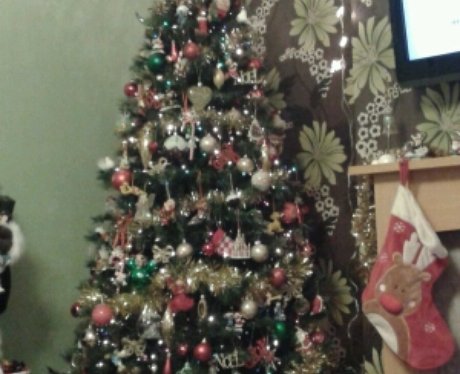 JK and Lucy's favourite Christmas Trees