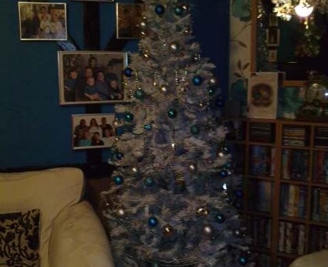 JK and Lucy's favourite Christmas Trees