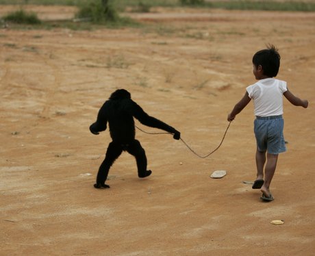 Boy whose best friend is a gibbon