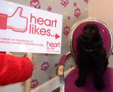 Heart Likes