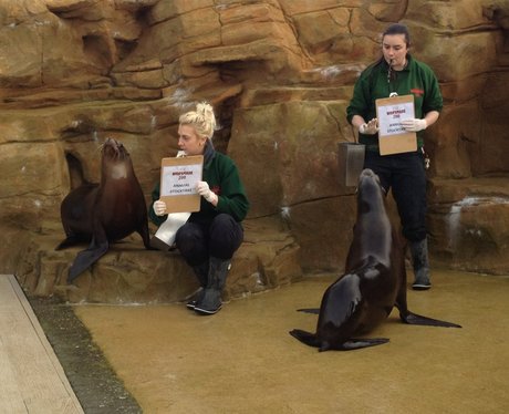 Whipsnade Zoo's 2013 Stocktake