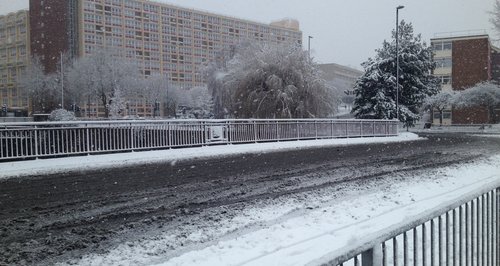 Snow in Bedminster