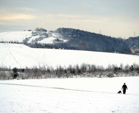 A man walking his dog in the snow