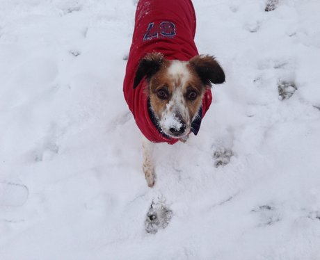 West Midlands Snow Pics