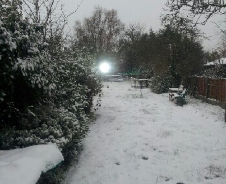 Kent Snow Pics
