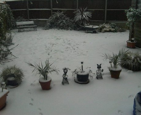 Kent Snow Pics