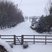 Image 7: Kent Snow Pics