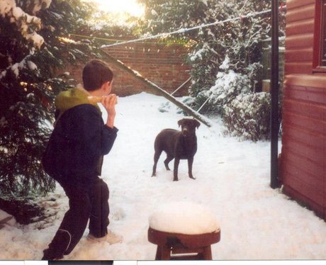 West Midlands Snow Pics