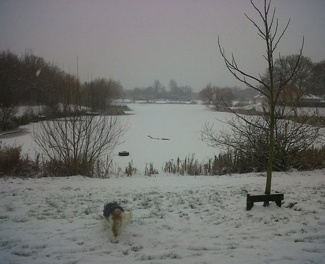 Snowy Essex