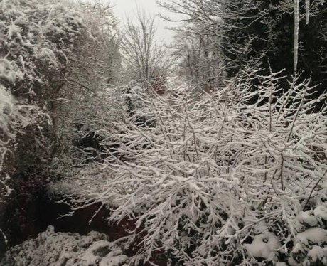 West Midlands Snow Pics